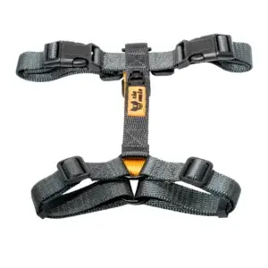 CD1-0198 H-Harness Verde Militar-Amarelo-2