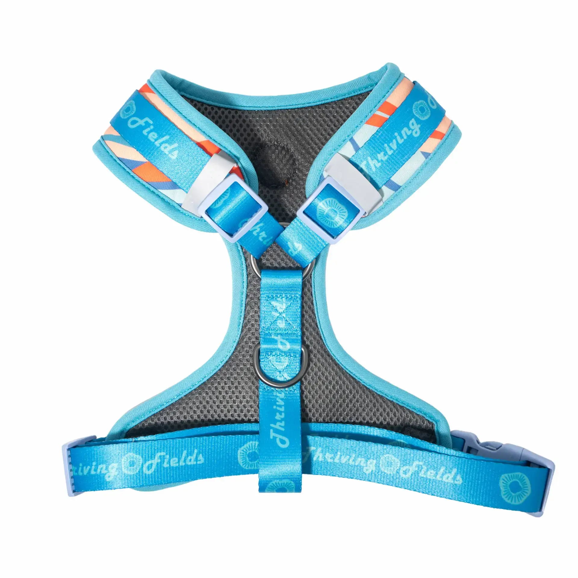 CD1-0254 Air Colete Neon 3_1