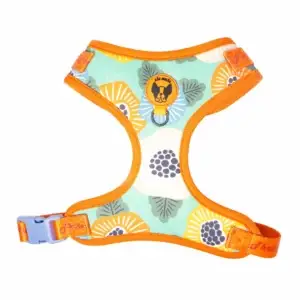 CD1-0255 Air Colete Amazon 1_1