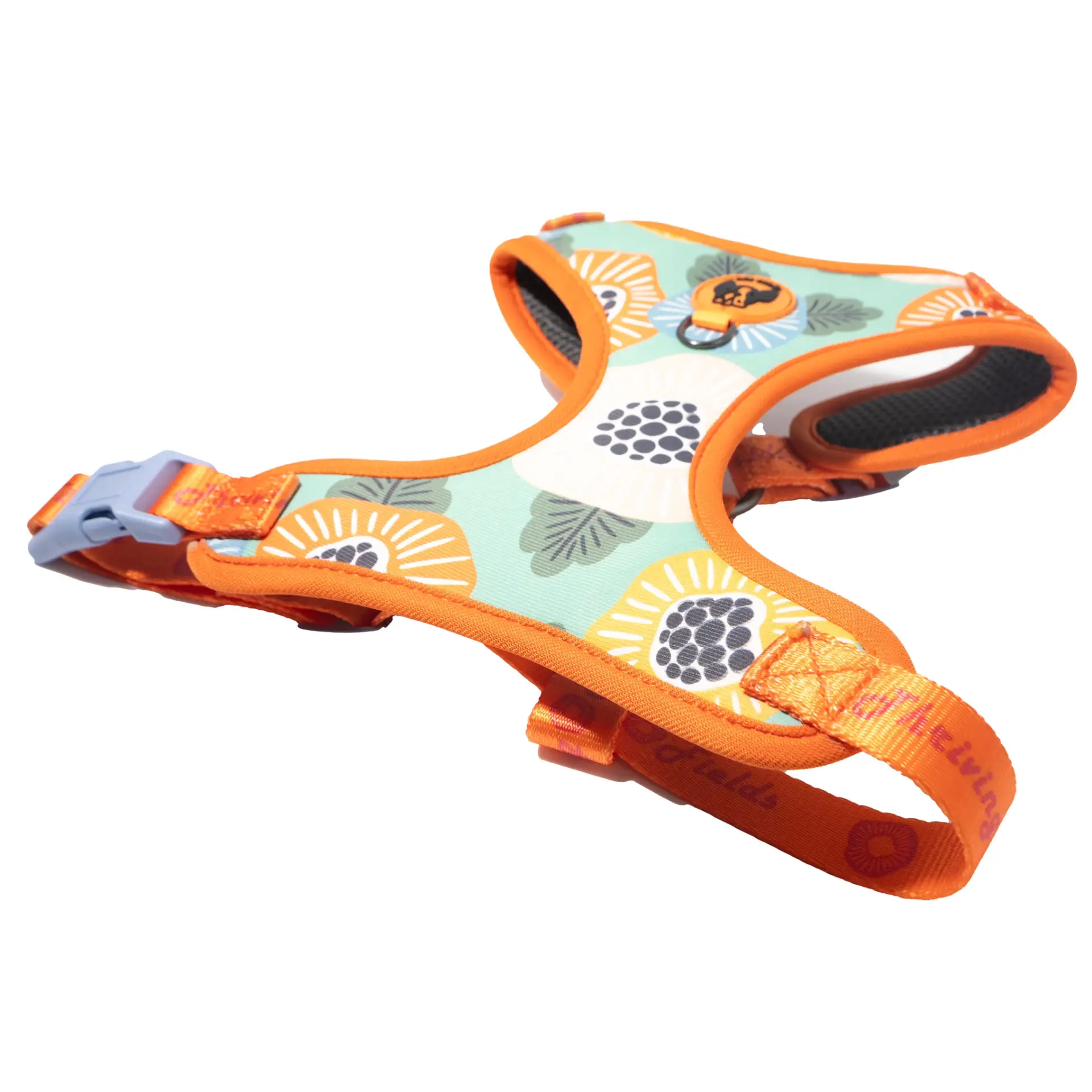 CD1-0255 Air Colete Amazon 2_1