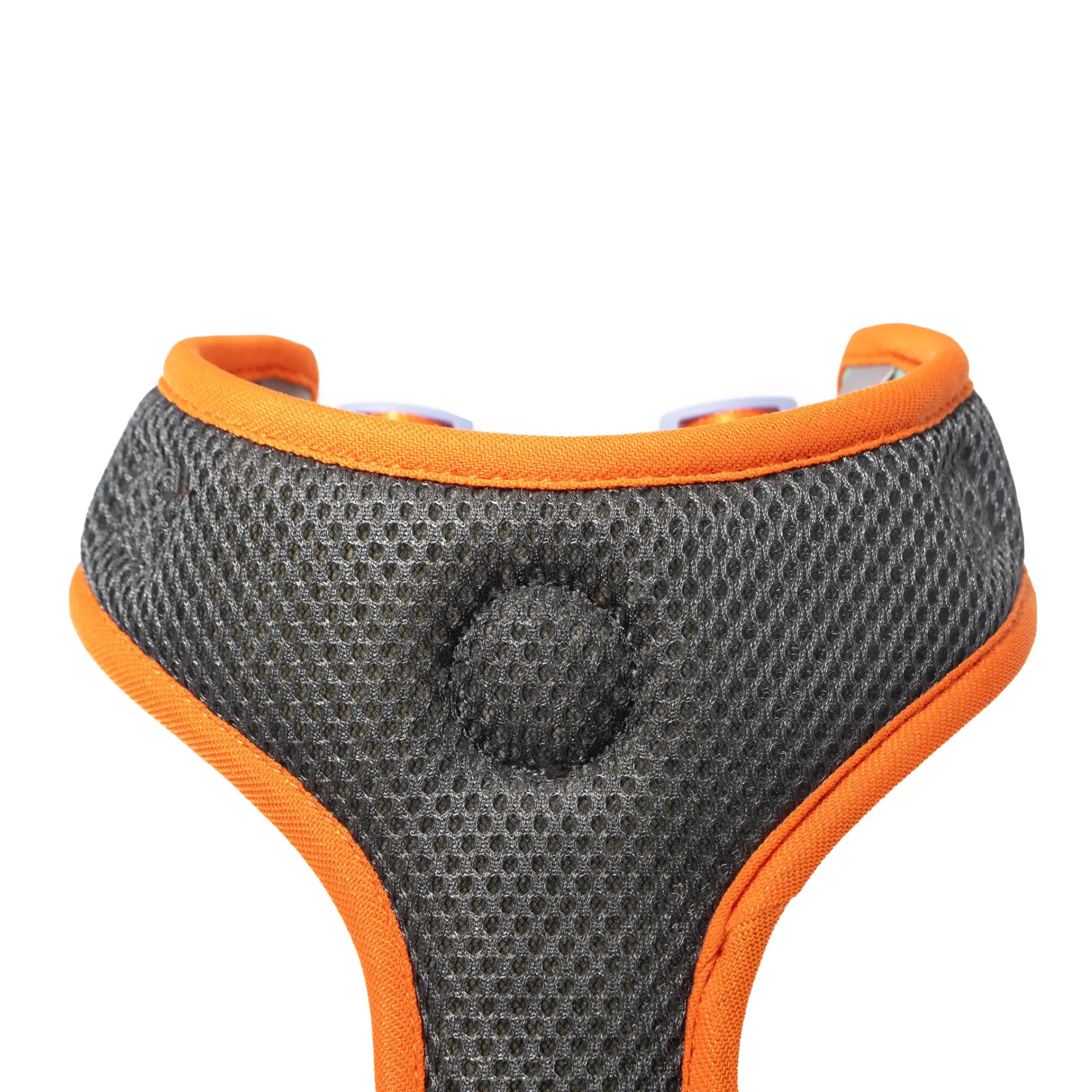 CD1-0255 Air Colete Amazon 5_1