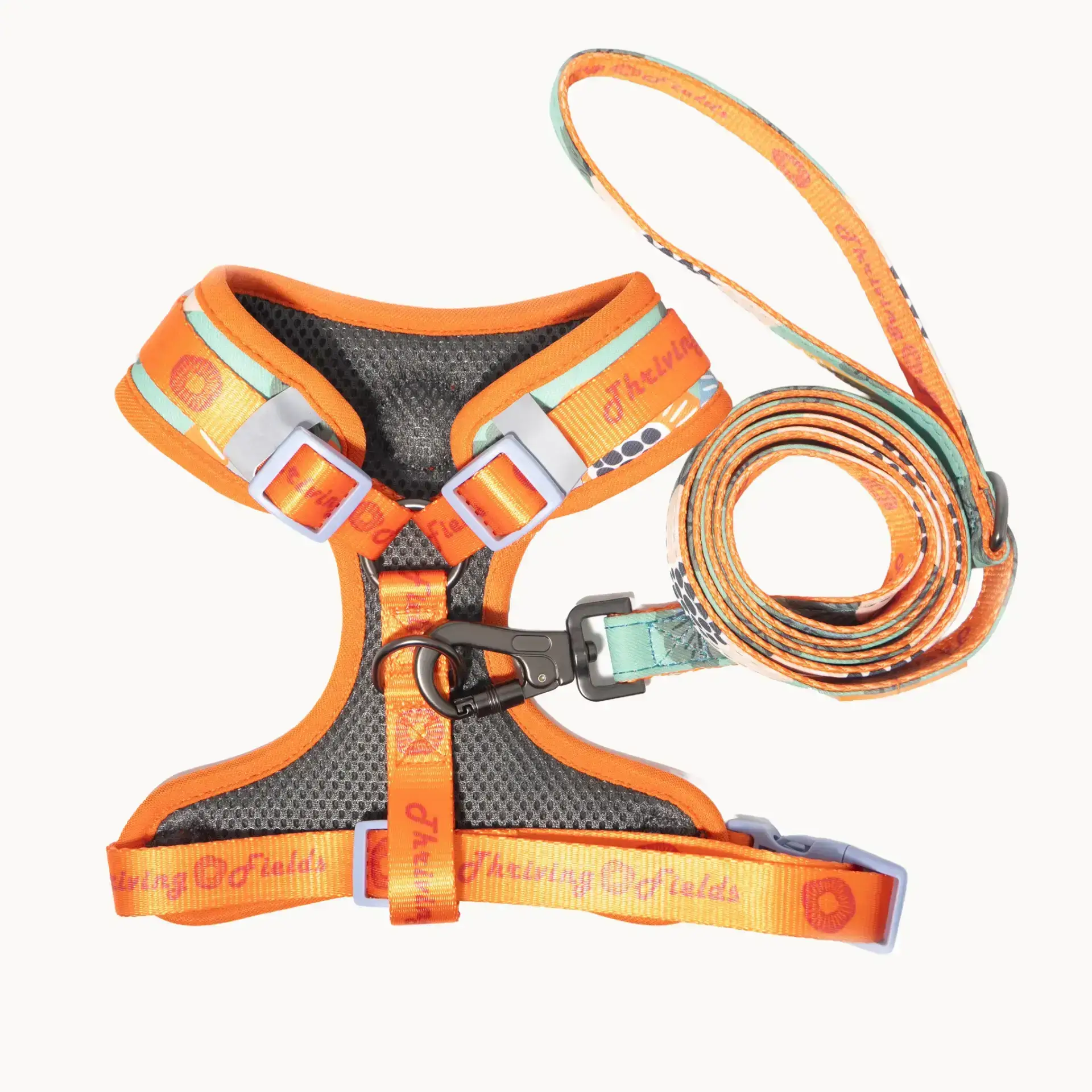 CD1-0255 Air Colete Amazon 6_1