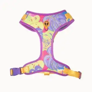 CD1-0256 Air Colete Jardins 1