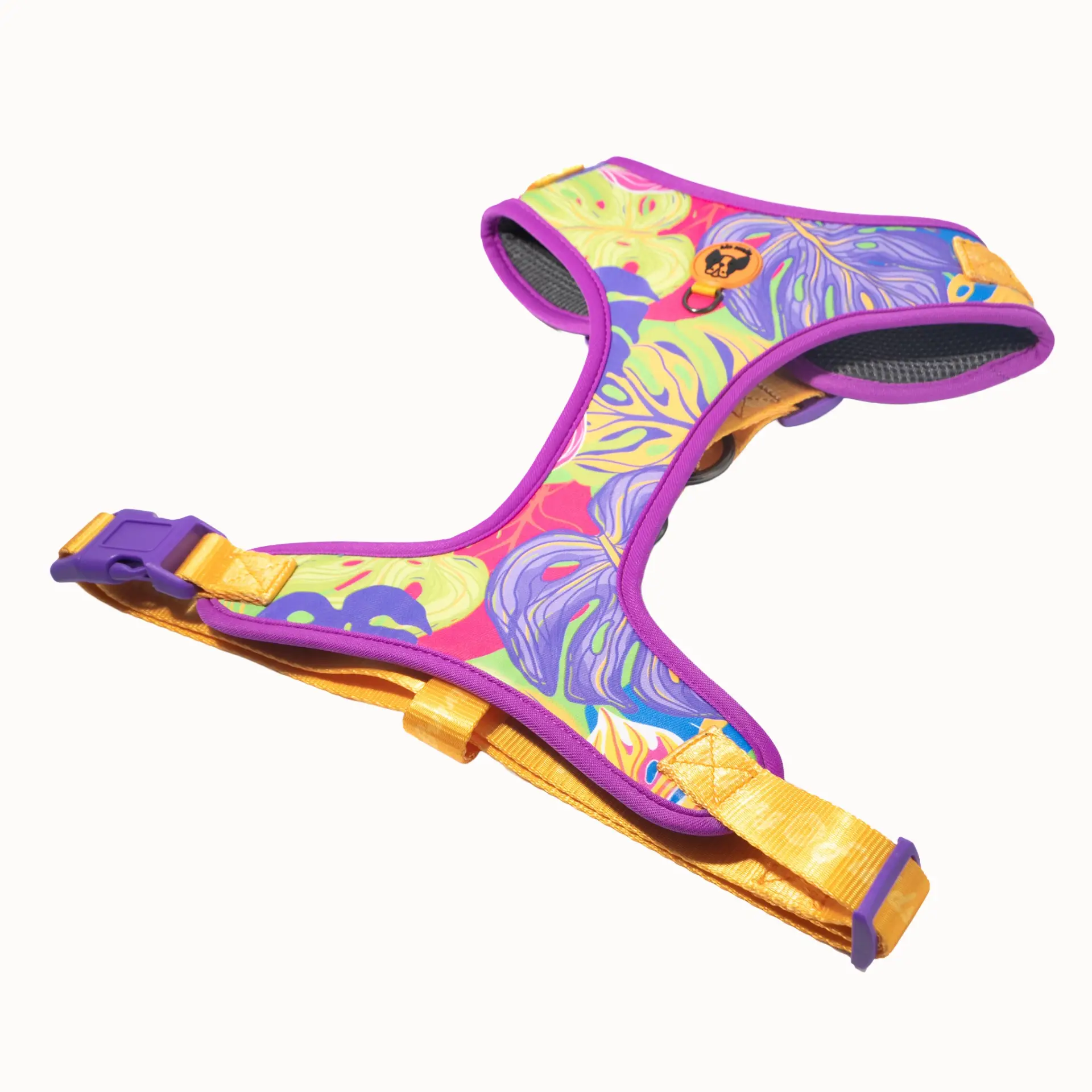 CD1-0256 Air Colete Jardins 2