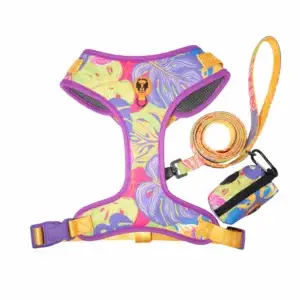 CD1-0256 Air Colete Jardins 8