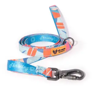 Guia Thriving Fields Neon