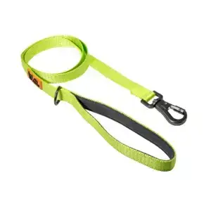 CD1-0466 Guia Limao M-1