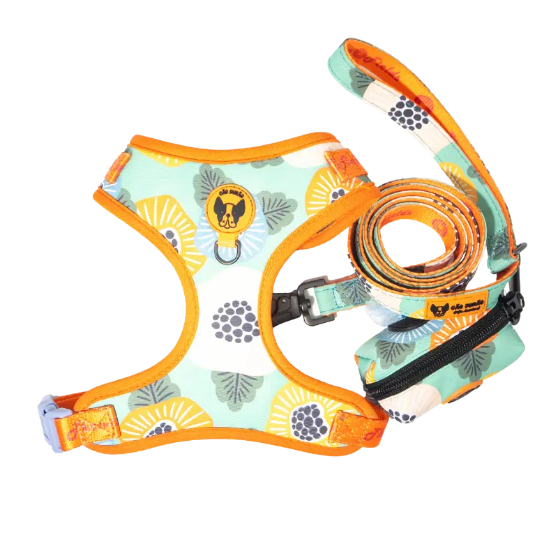 Thriving Fields Amazon-1