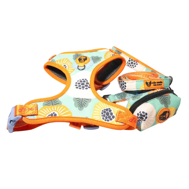 Thriving Fields Amazon-2