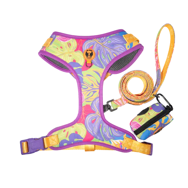 Thriving Fields Jardins-1-1