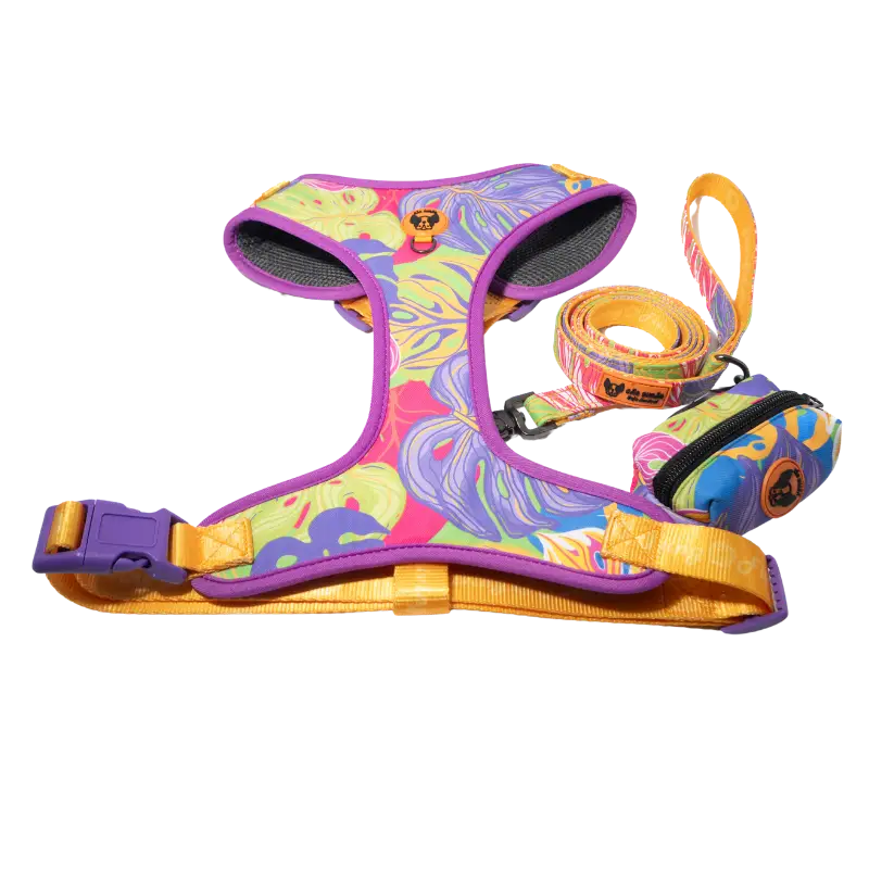 Thriving Fields Jardins-2