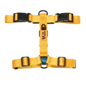 CD1-0201 H-Harness Amarelo-Azul-2