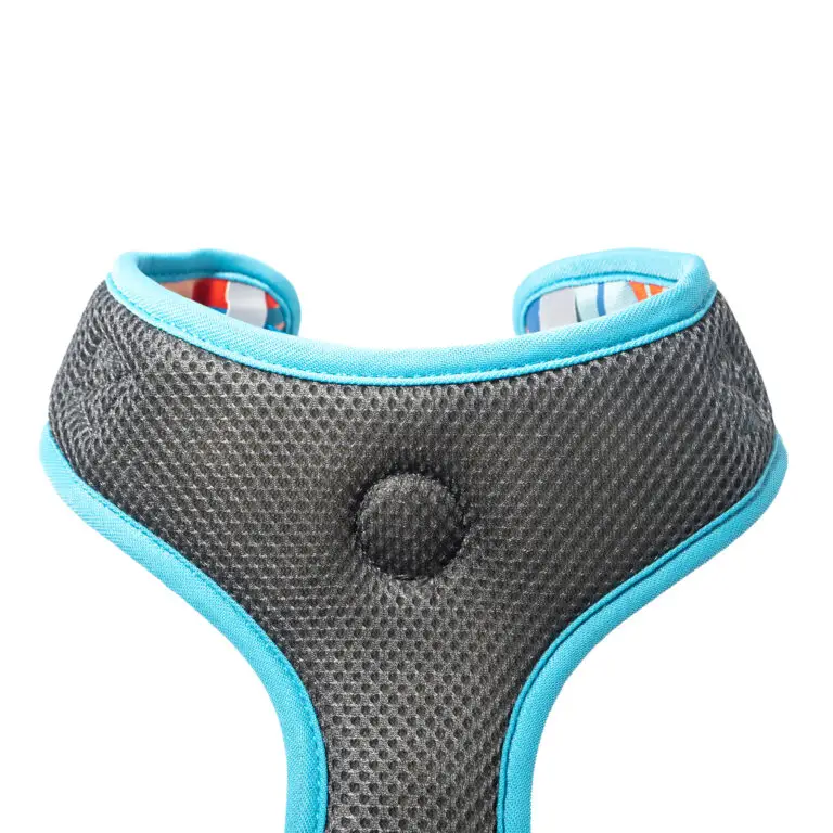 CD1-0254 Air Colete Neon 5_1