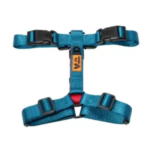 CD1-0452 H-Harness Azul-Vermelho-1