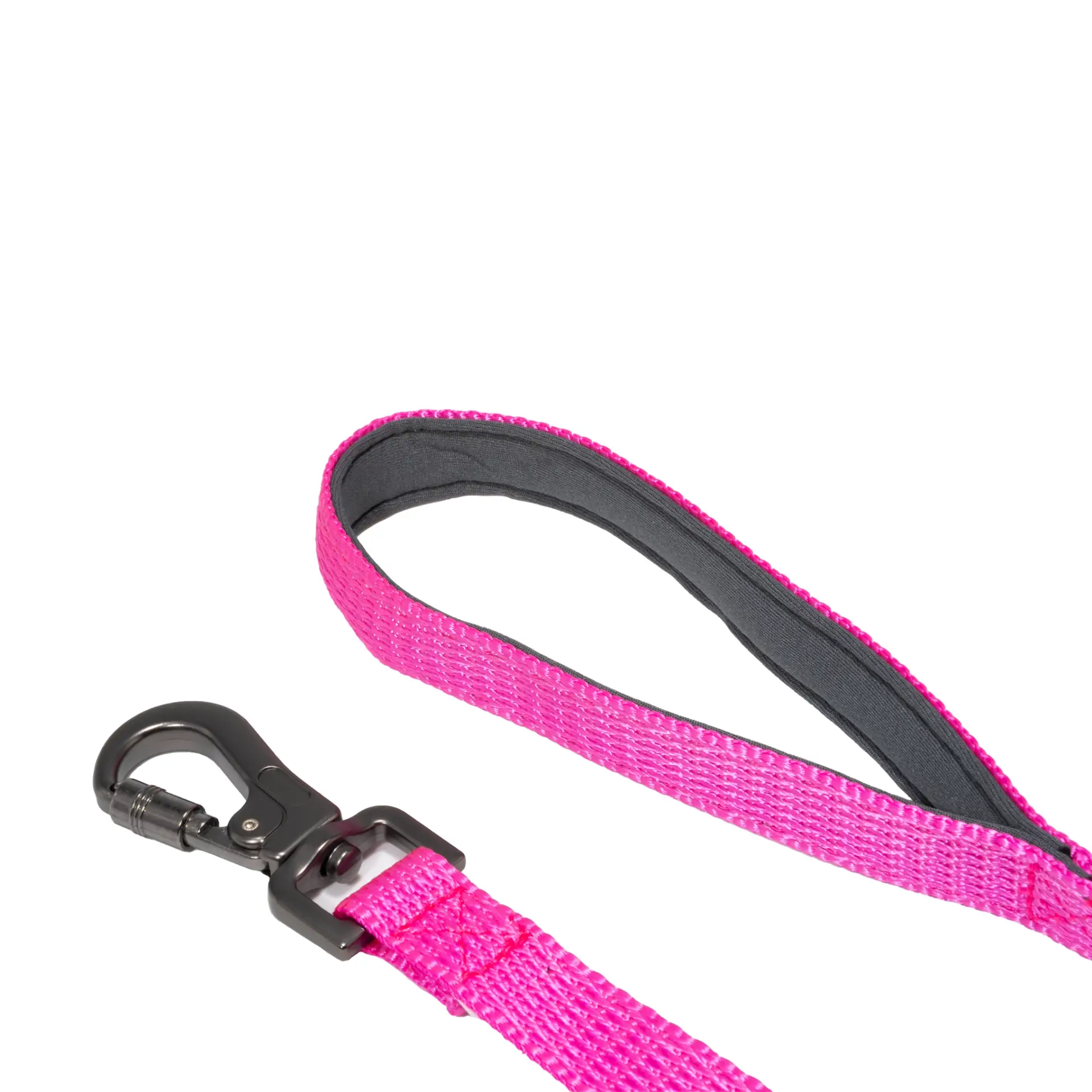 CD1-0463 Guia Rosa M-2