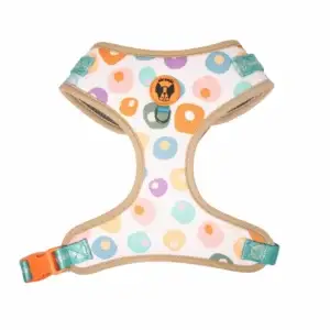 CD1-0253 Air Colete Bubbles 1_1