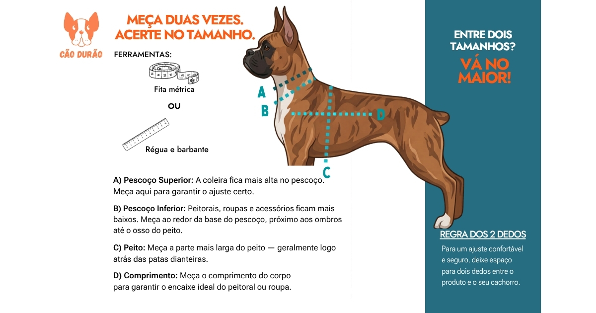 How to measure a dog for a harness.